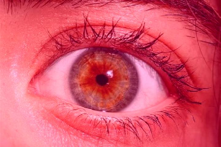 Zoe, 36, a red hazel-eyed european companion based in Boniewo. Offering BDSM, Domination, Dinner Date, Party Girl. Available for incall and outcall, day and ...