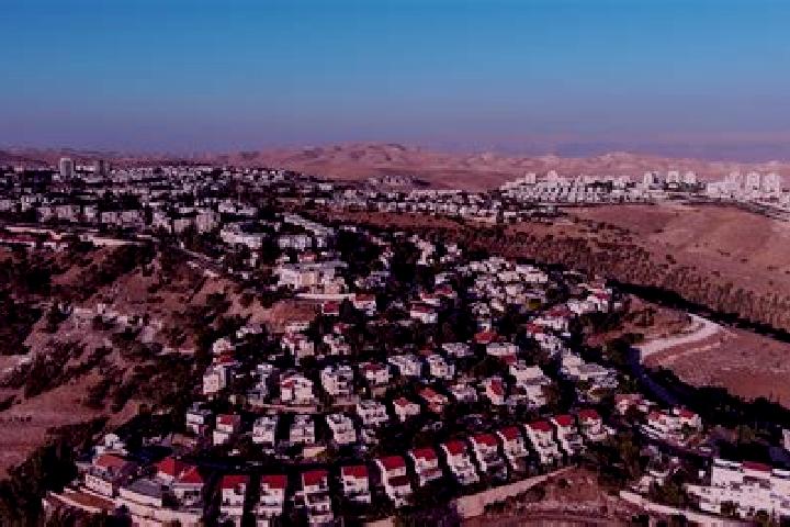 Zoe, 36 — Escort in Ma ale Mikhmas, Palestine