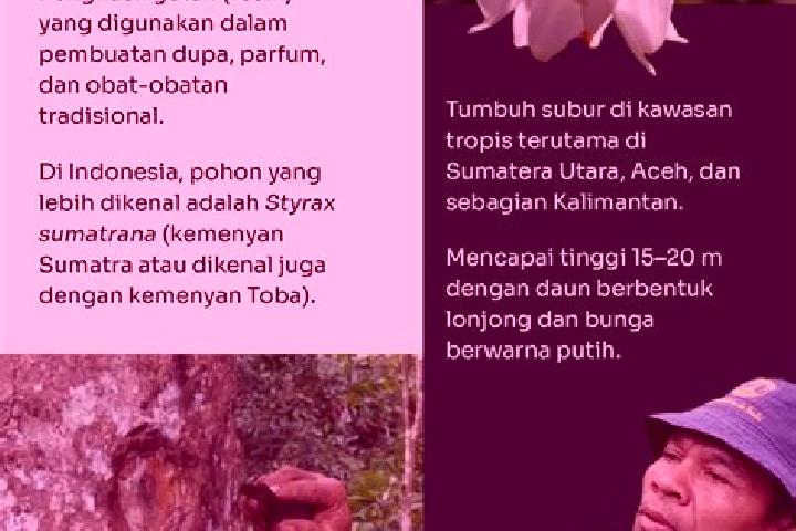 Zoe, 37 — Escort in Banjar Trunyan, Indonesia