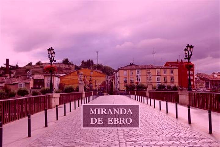 Zoe, 37 — Escort in Cabanas de Ebro, Spain