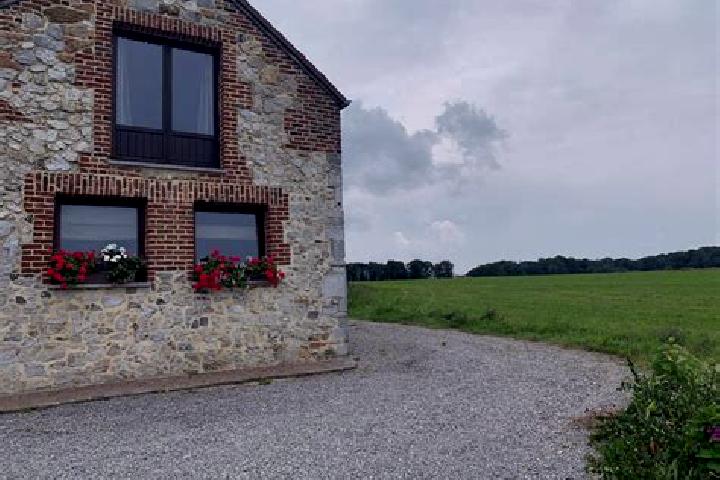Zoe, 37 — Escort in Forchies-la-Marche, Belgium