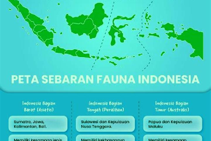 Zoe, 37 — Escort in Kebon Tengah, Indonesia