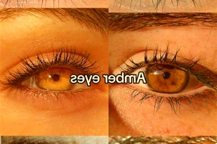 Zoe, 38, a brunette amber-eyed middle eastern companion based in Pachascucho. Offering Dinner Date, Girlfriend Experience, Roleplay. Available for incall and...