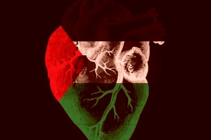 Zoe, 38 — Escort in Dhannabah, Palestine