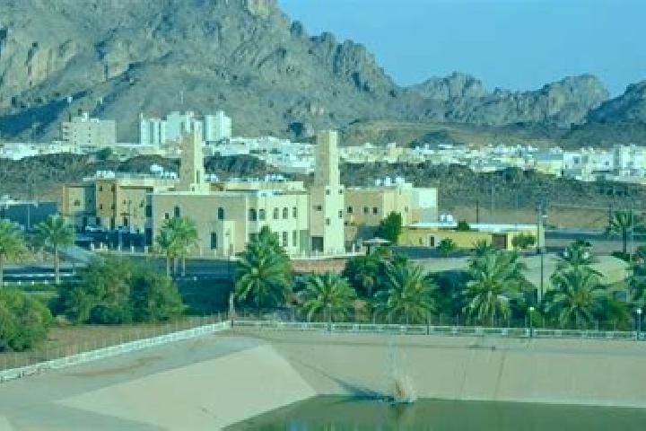 Zoe, 38 — Escort in Ha il, Saudi Arabia