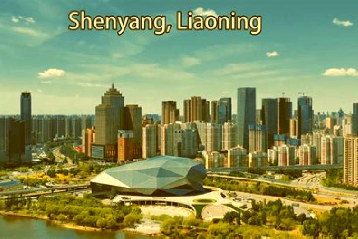 Zoe, 38 — Escort in Huanggu, China