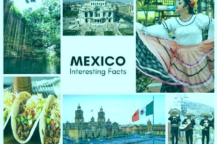 Zoe, 38 — Escort in Soyalo, Mexico