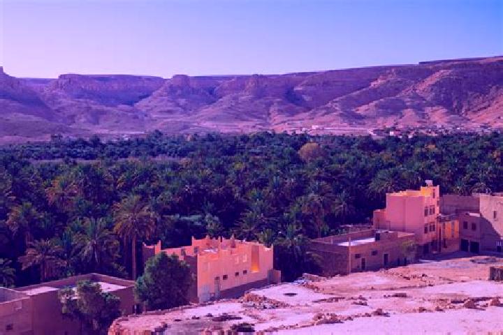 Zoe, 38 — Escort in Zagora, Morocco