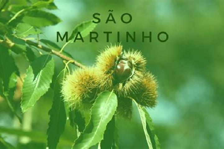 Zoe, 39 — Escort in Frei Martinho, Brazil