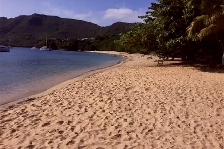 Zoe, 39 — Escort in Petit Bordel, Saint Vincent and the Grenadines