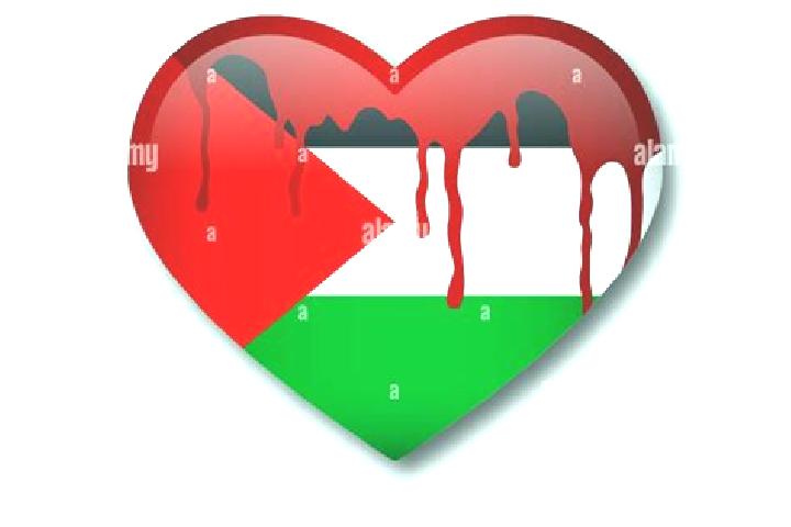 Zoe, 39 — Escort in Qedumim, Palestine