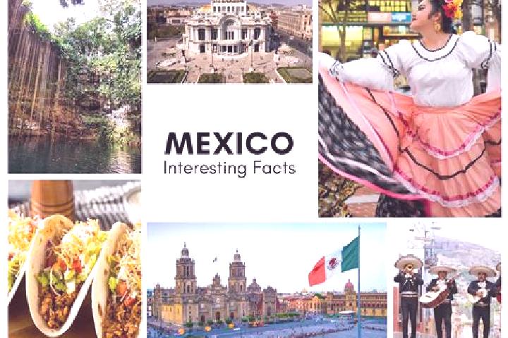 Zoey, 20 — Escort in Alcholoa, Mexico