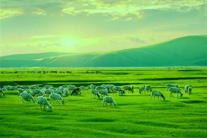 Zoey, 20 — Escort in Dzoolon, Mongolia