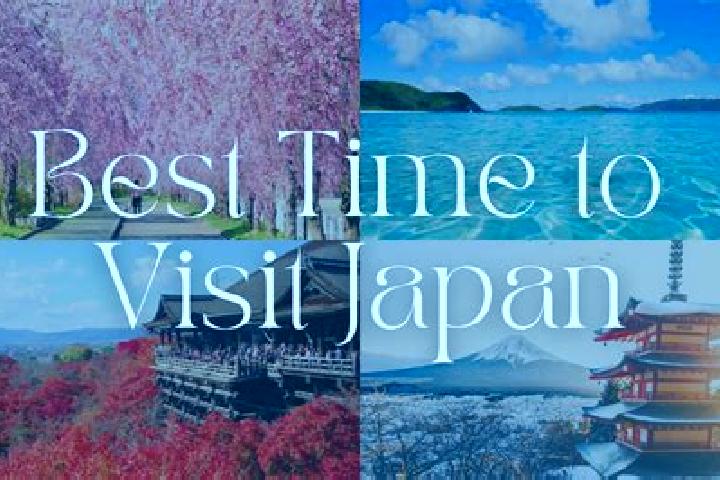 Zoey, 20 — Escort in Kashiwazaki, Japan
