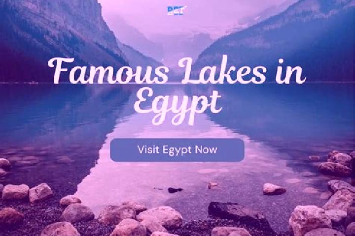 Zoey, 20 — Escort in Mahallat Damanah, Egypt