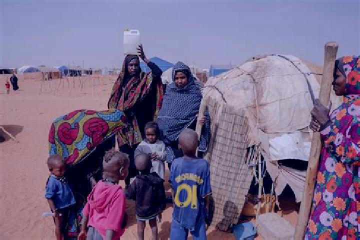 Zoey, 20 — Escort in Mbera, Mauritania