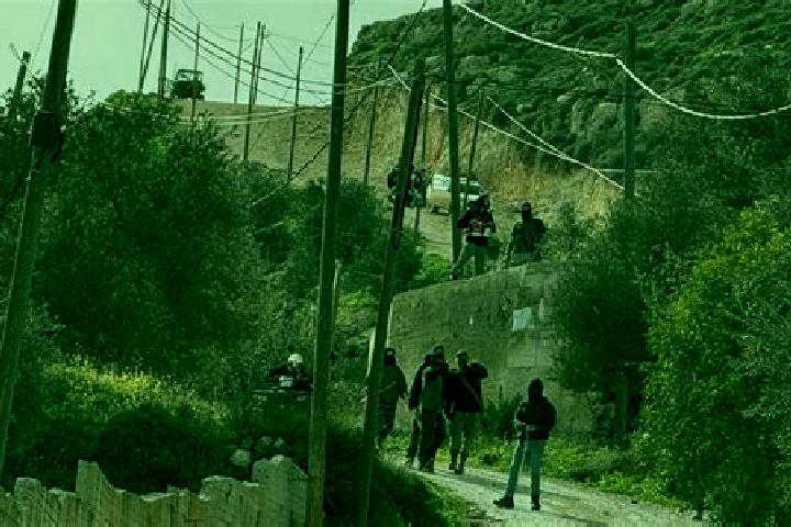 Zoey, 20 — Escort in Talfit, Palestine