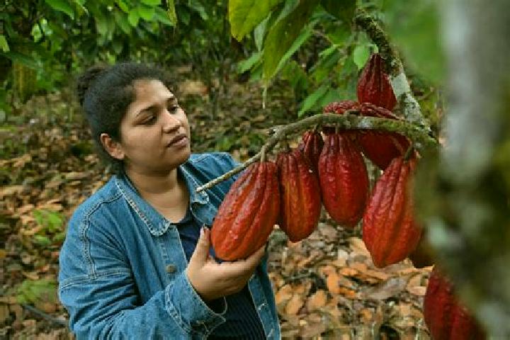 Zoey, 21 — Escort in Flor de Cacao, Mexico