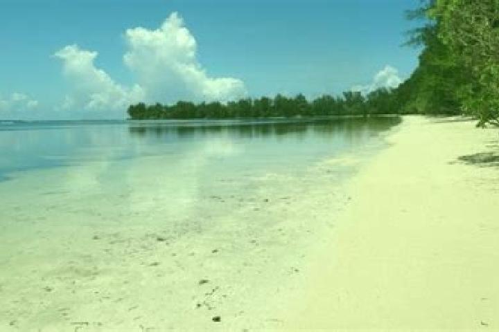 Zoey, 21 — Escort in Ngerkeai, Palau