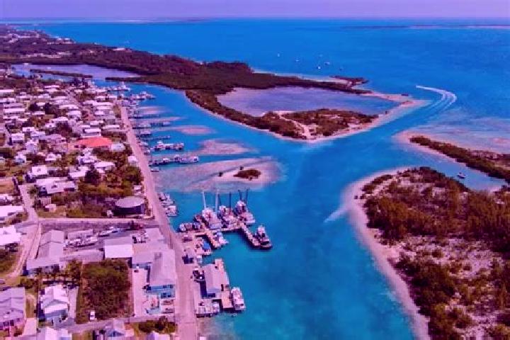 Zoey, 21 — Escort in Spanish Wells, Bahamas