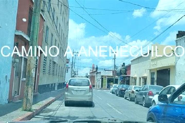 Zoey, 22 — Escort in Anenecuilco, Mexico
