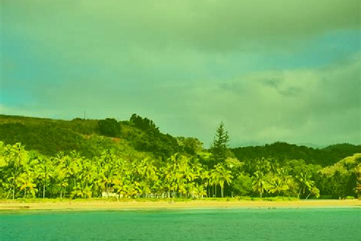Zoey, 22 — Escort in Avarua, Cook Islands