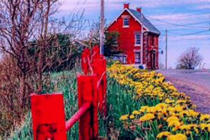 Zoey, 22 — Escort in Harbour Grace, Canada