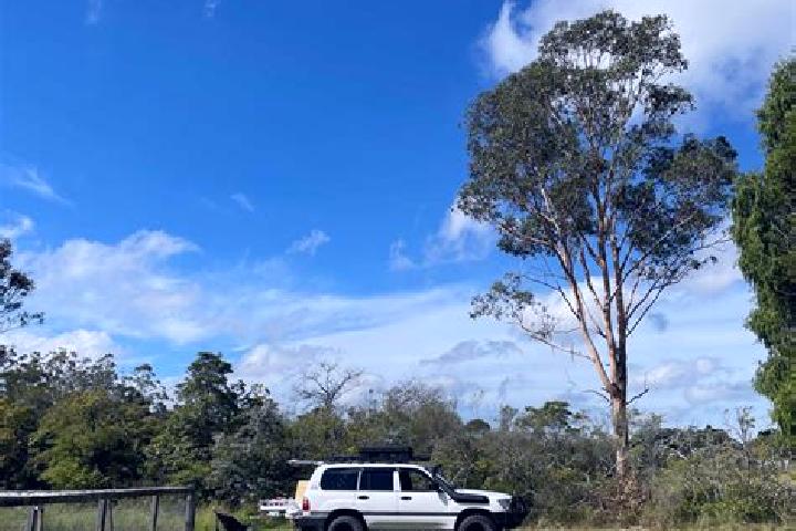 Zoey, 22 — Escort in Wedderburn, Australia