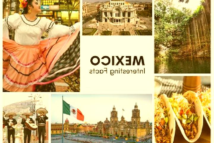 Zoey, 22 — Escort in Xohuayan, Mexico