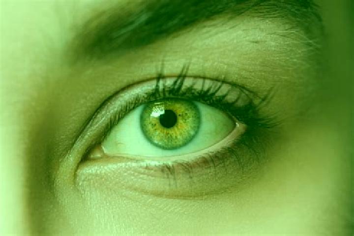 Zoey, 23, a chestnut hazel-eyed mixed companion based in Itanhomi. Offering GFE, A-Level, Prostate Massage, OWO. Available for incall and outcall, overnight ...