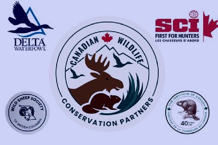 Zoey, 23 — Escort in Conservation, Canada