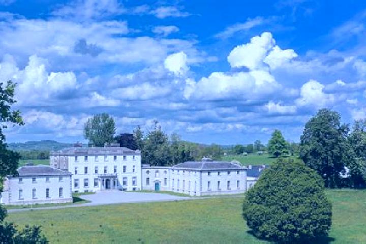Zoey, 23 — Escort in Strokestown, Ireland