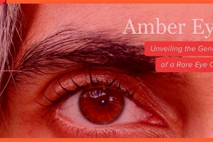 Zoey, 24, a red amber-eyed mediterranean companion based in Servins. Offering OWO, Party Girl. Available for incall and outcall, day and evening dates.