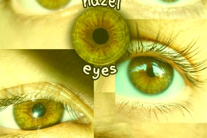 Zoey, 24, a red hazel-eyed asian companion based in Interlochen. Offering Travel Companion, GFE, Duos. Available for incall and outcall, overnight bookings a...