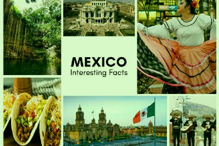 Zoey, 24 — Escort in Mascuala, Mexico