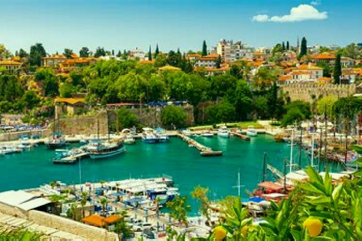 Zoey, 24 — Escort in Okurcalar, Turkey