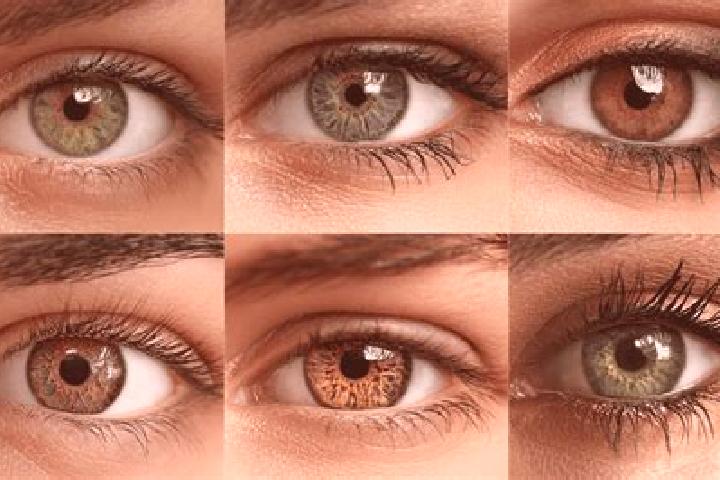 Zoey, 25, a black hazel-eyed mediterranean companion based in Miabi. Offering Duos, Domination, Overnight, CIM, 69. Available for incall and outcall, overnig...