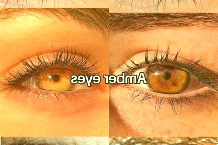 Zoey, 25, a chestnut amber-eyed middle eastern companion based in Etaules. Offering Massage, CIM, GFE, Domination. Available for incall and outcall, day and ...