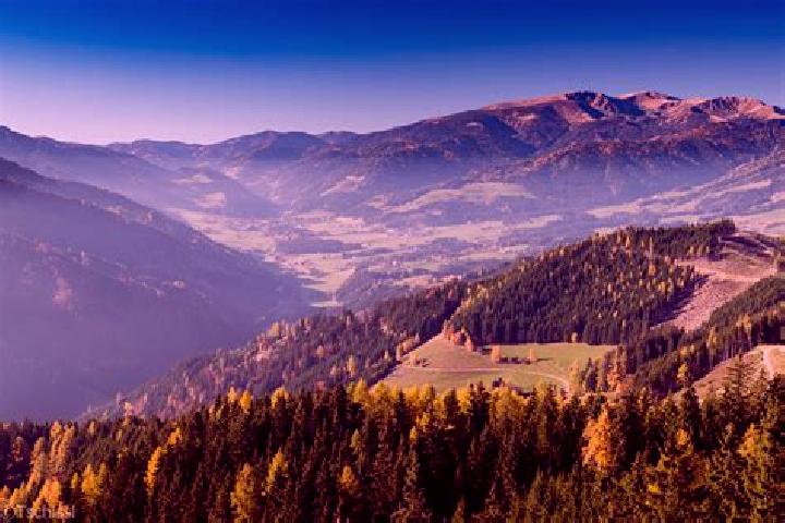 Zoey, 25 — Escort in Apfelberg, Austria