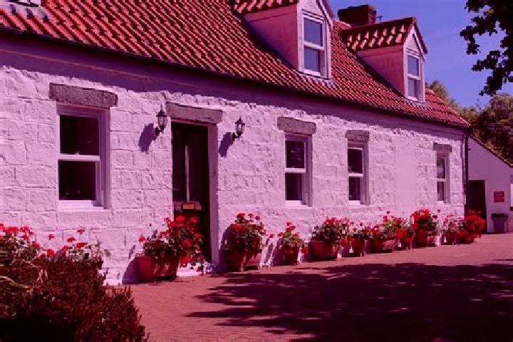 Zoey, 25 — Escort in Saint Pierre du Bois Parish, Guernsey