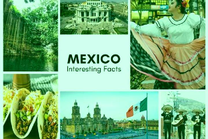 Zoey, 25 — Escort in Santa Maria Zoogochi, Mexico