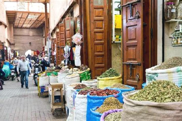 Zoey, 25 — Escort in Souk et Tnine Jorf el Mellah, Morocco