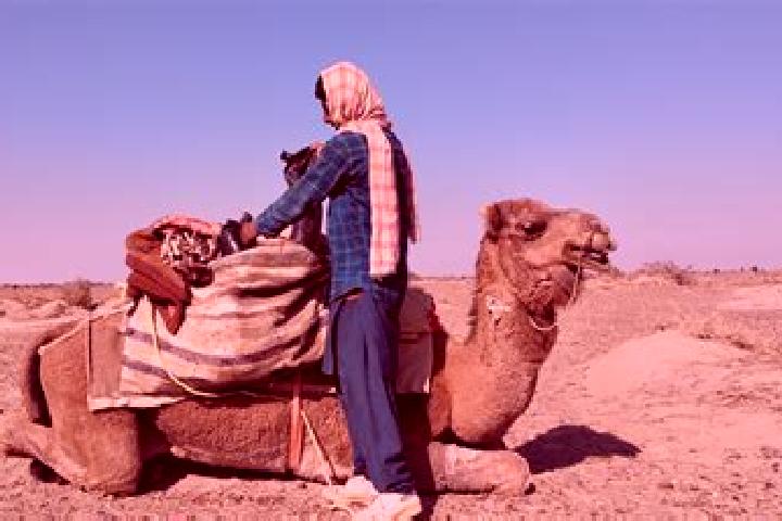 Zoey, 26 — Escort in Dasht-e Qal ah, Afghanistan