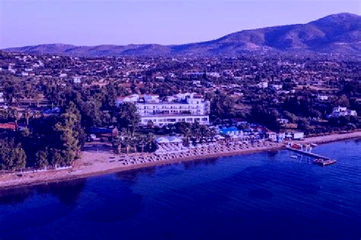 Zoey, 26 — Escort in Eretria, Greece