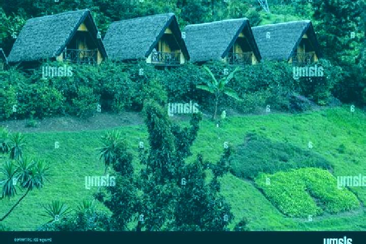 Zoey, 26 — Escort in Kirambo, Rwanda