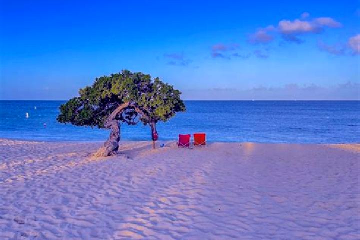 Zoey, 26 — Escort in Moco, Aruba