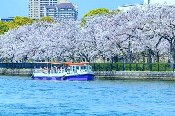 Zoey, 26 — Escort in Nakanoshima, Japan