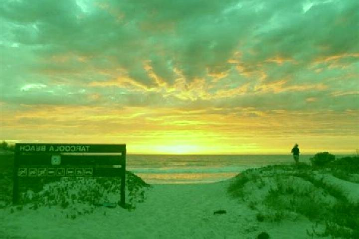 Zoey, 26 — Escort in Tarcoola Beach, Australia