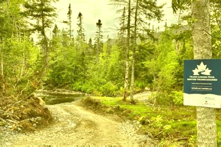 Zoey, 26 — Escort in Trail, Canada