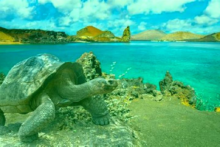 Zoey, 27 — Escort in Galapagos, Spain